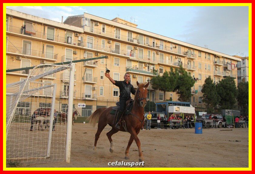 161106 equestre 041_tn.jpg